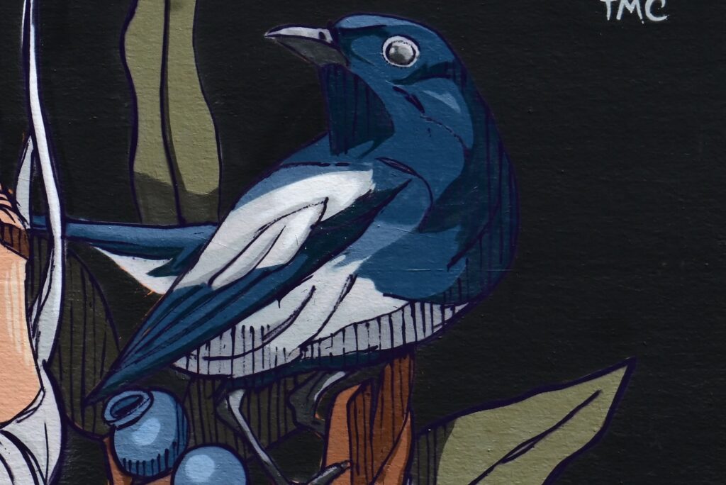 Vogelmotiv im Mural beim Plein Champ Festival Le Mans