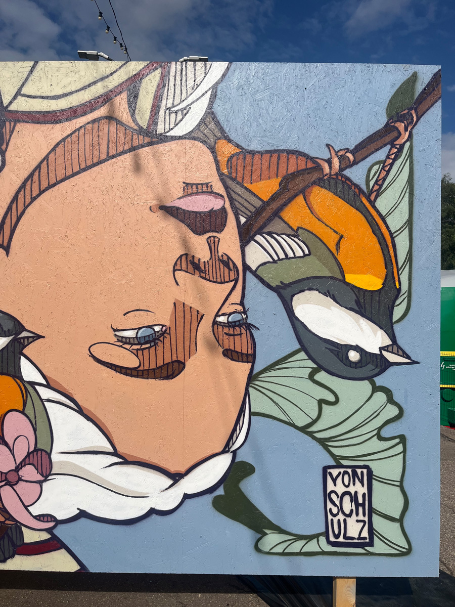 Detail der Kohlmeise in Great Tit von Bjoern von Schulz